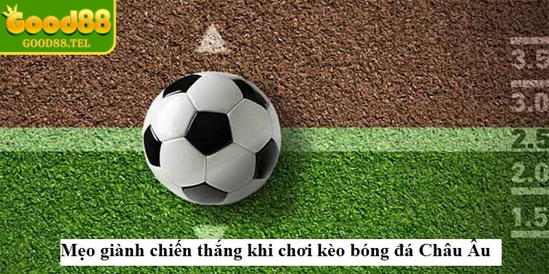 Áp dụng các chiến thuật từ chuyên gia giúp người chơi đặt cược khoa học hơn