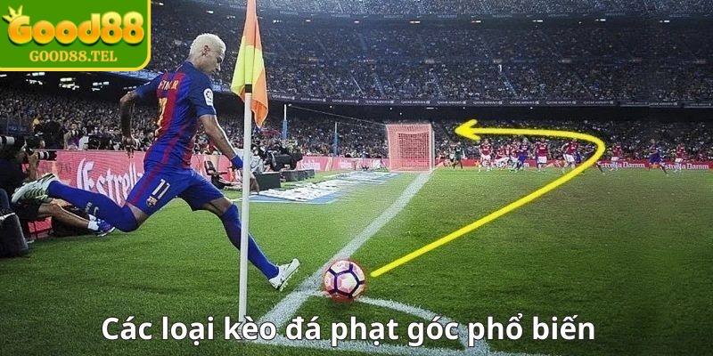 Hệ thống cược đa dạng, phù hợp với mọi thành viên